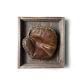 Mounted Baseman's Glove, c. 1930
